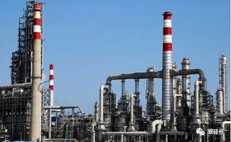 五年以后中國是否會(huì)只剩下巨型的化工企業(yè)